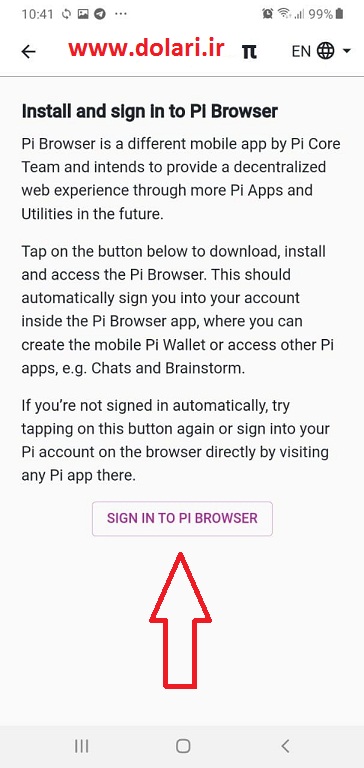 pi browser
